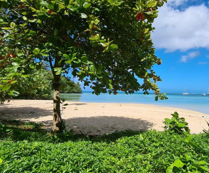 Huahine Manta Lodge Avec 4X4 Optionnel Haapu Ngoại thất bức ảnh