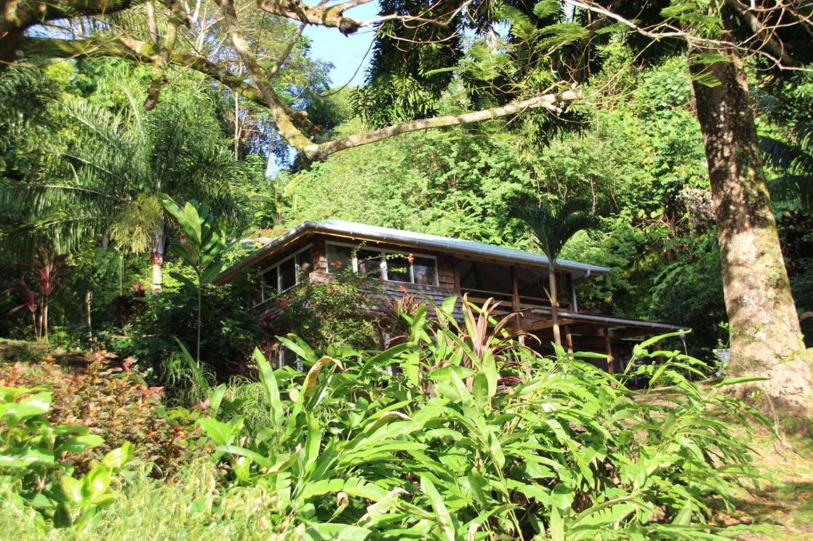 Huahine Manta Lodge Avec 4X4 Optionnel Haapu Ngoại thất bức ảnh