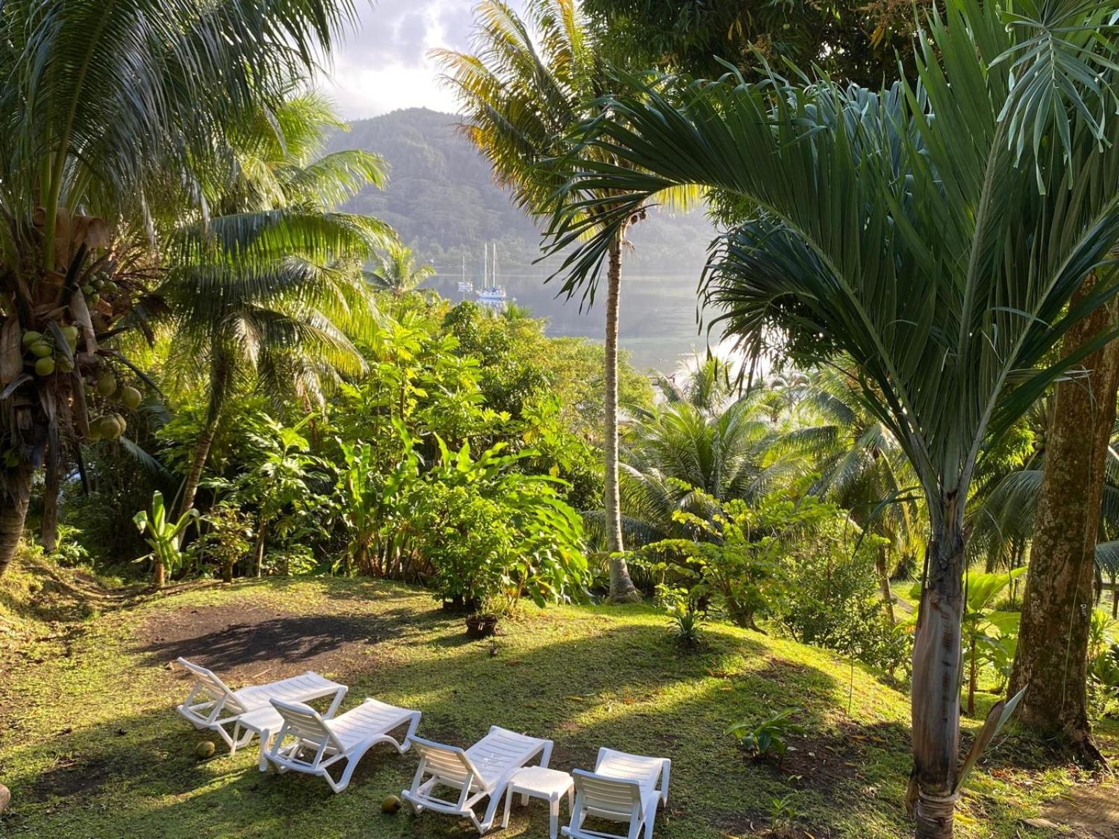 Huahine Manta Lodge Avec 4X4 Optionnel Haapu Ngoại thất bức ảnh