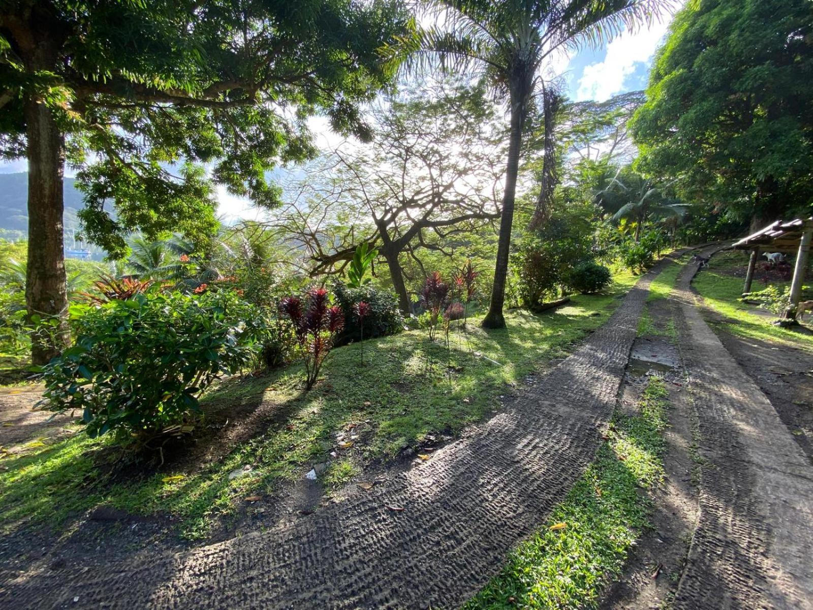 Huahine Manta Lodge Avec 4X4 Optionnel Haapu Ngoại thất bức ảnh