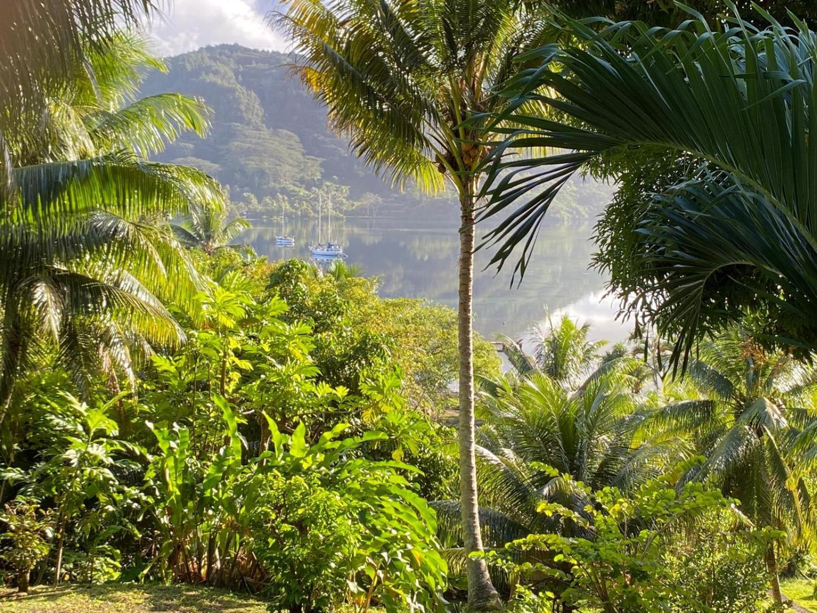 Huahine Manta Lodge Avec 4X4 Optionnel Haapu Ngoại thất bức ảnh
